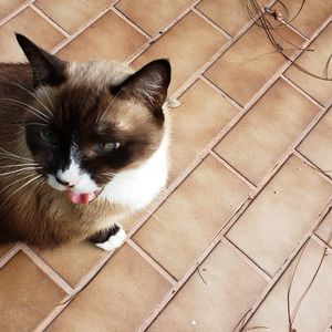 Meet your Posher, Jillian